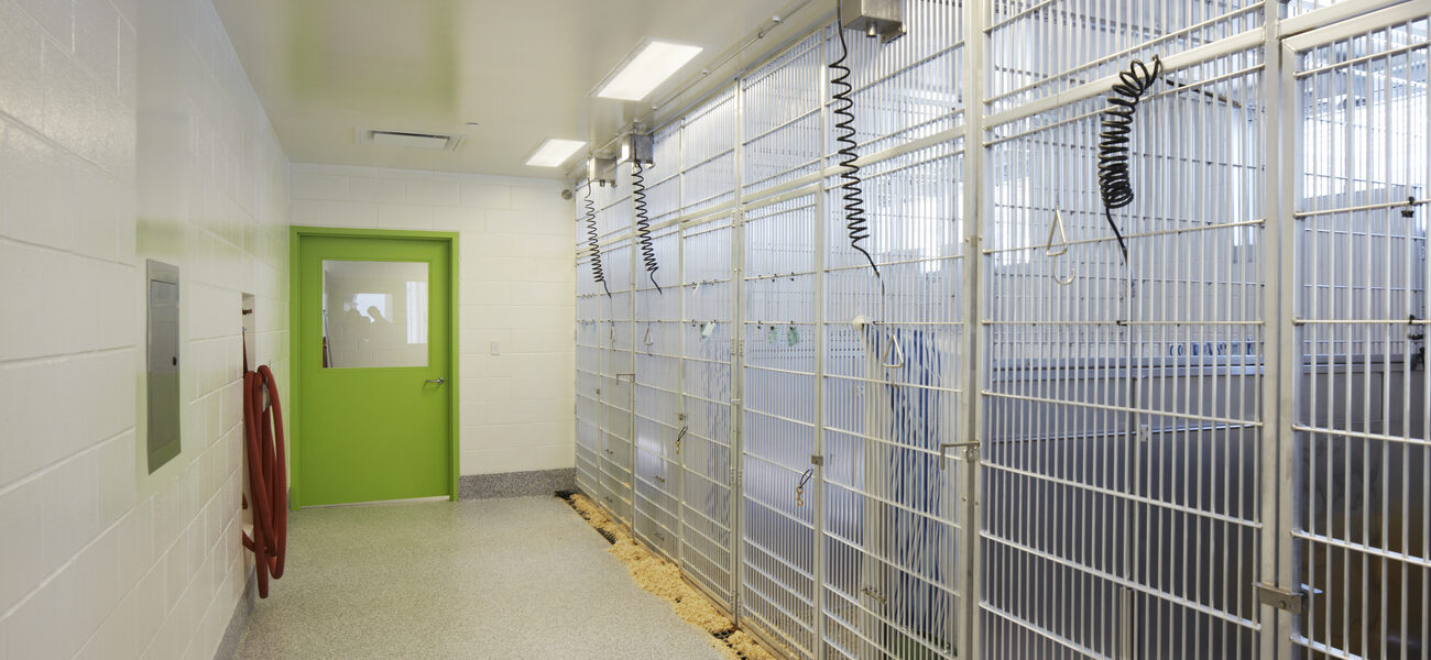 Indoor Small Animal Housing
