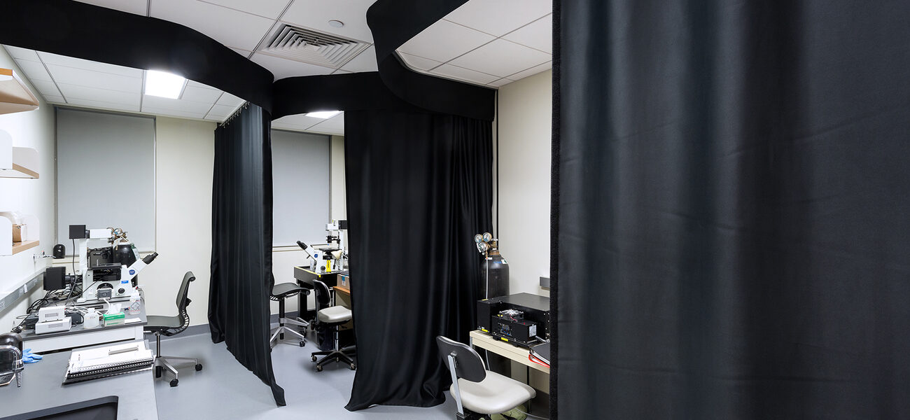 Microscopy