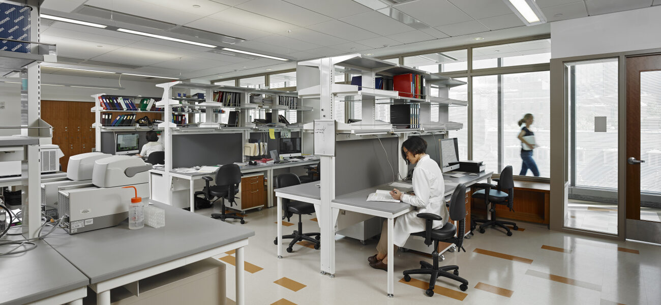 Gene Expression Lab