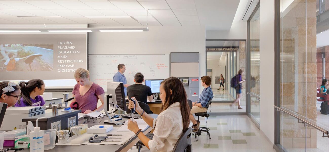 Undergraduate Biology Teaching Lab 