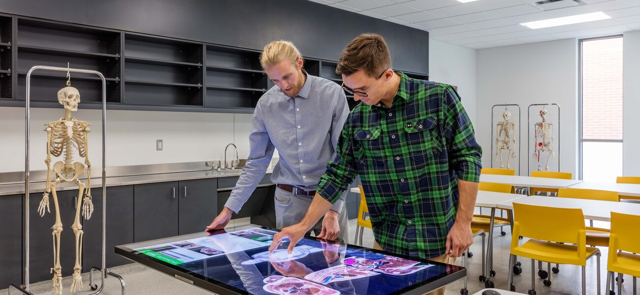 Virtual Anatomy Lab