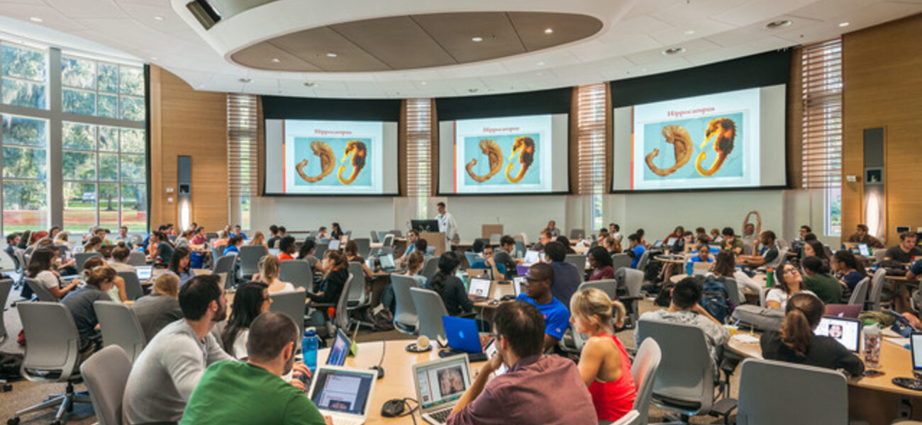 Medical Class Learning Studio
