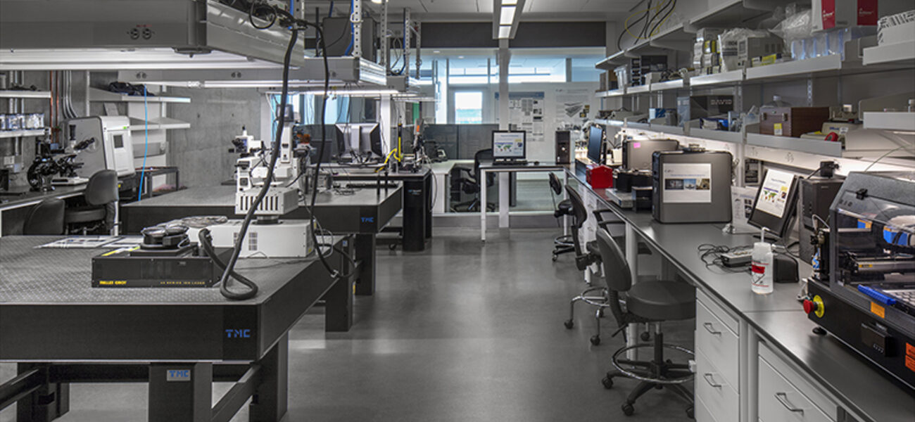 Flex Lab