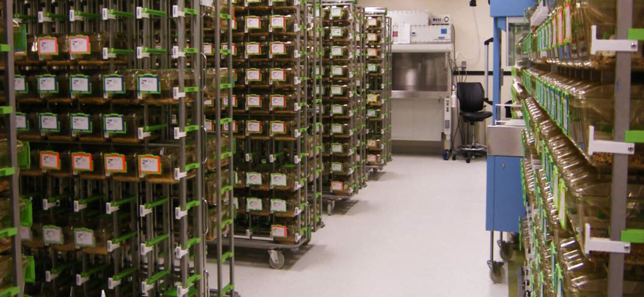 Large-Scale Genetic Model Production 