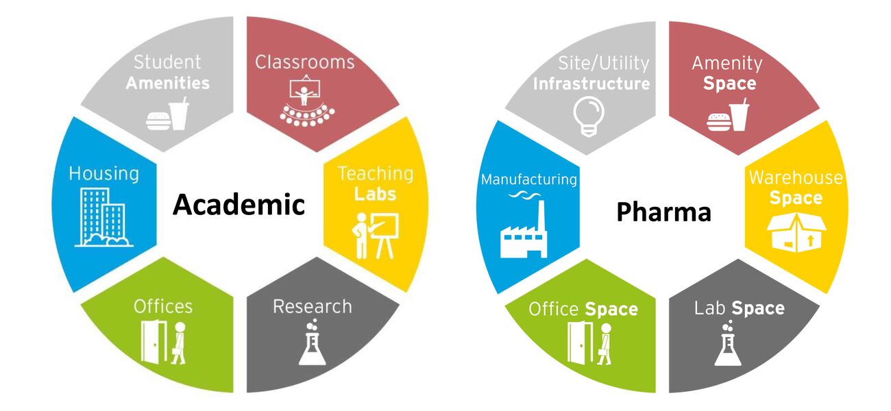 executive planning categories