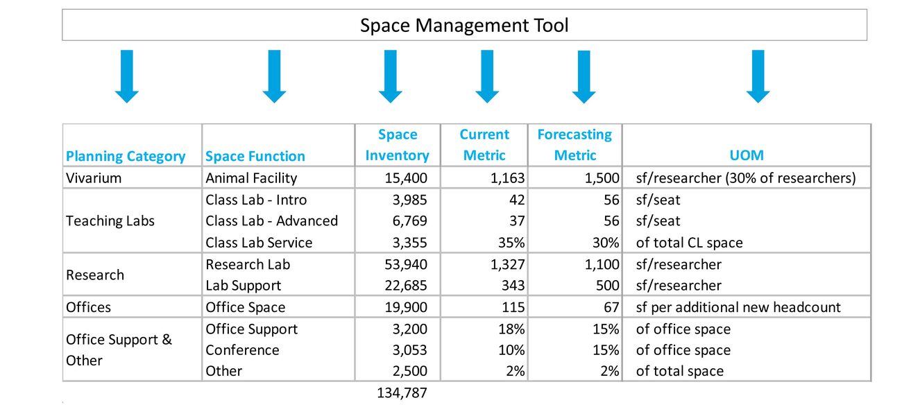 Utilization and Forecasting Metrics 