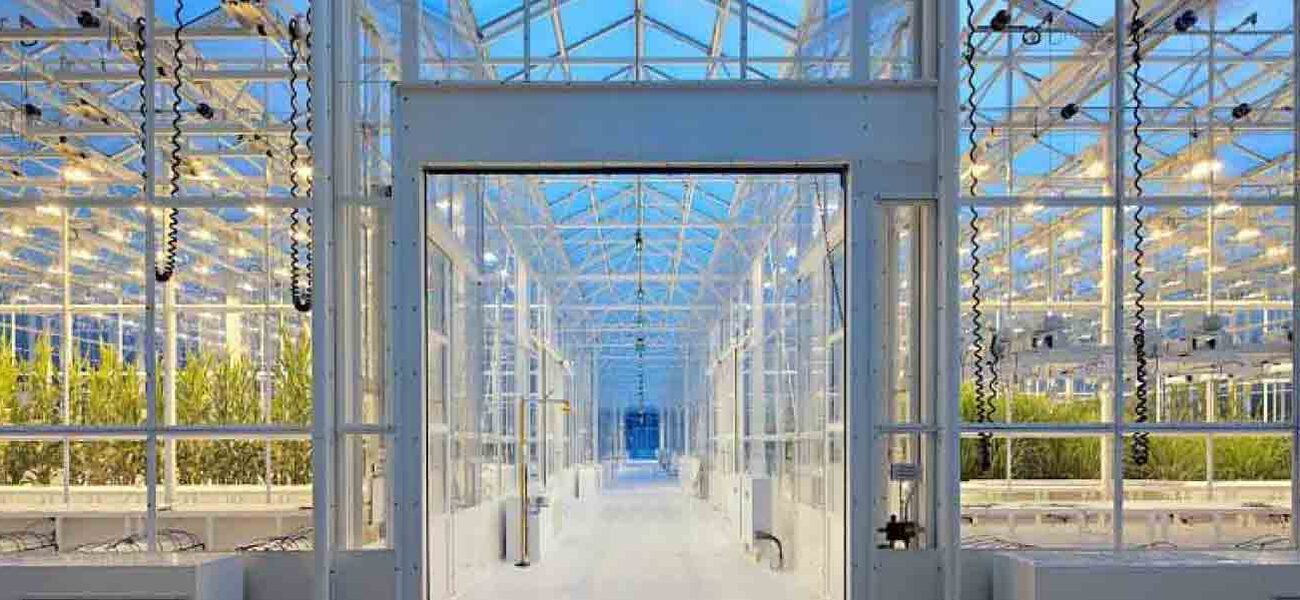 Greenhouse Gl2/Gl3 and growing space 