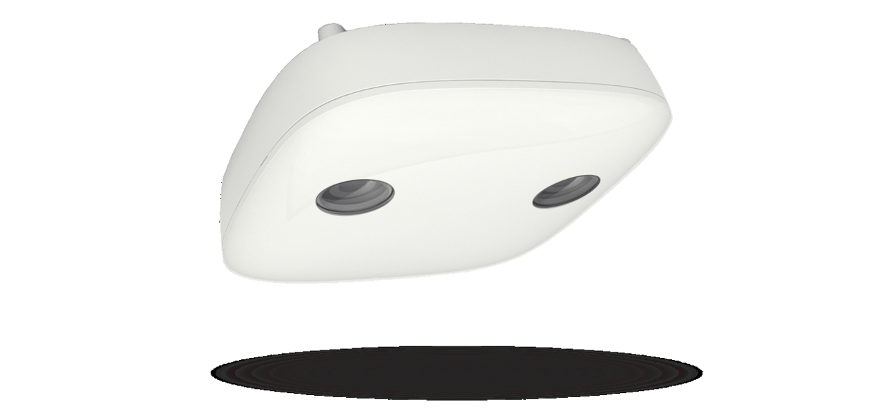 stereoscopic camera sensor