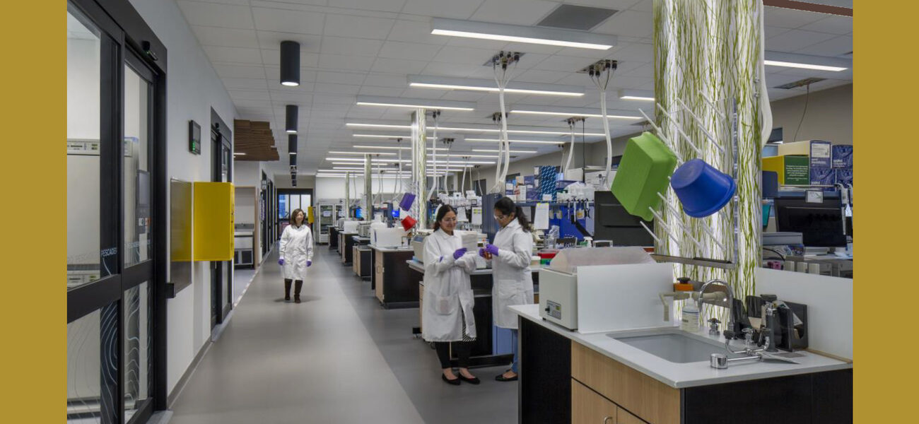 Modular Lab Services
