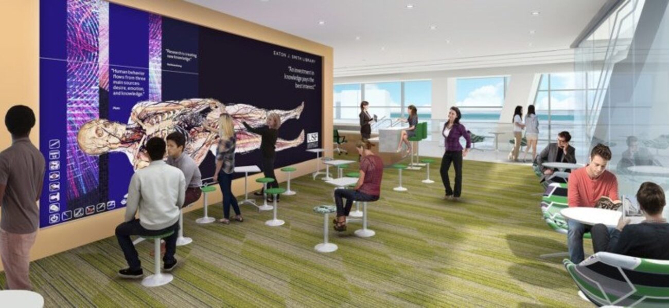 University of South Florida Health - Morsani College of Medicine and Heart Institute