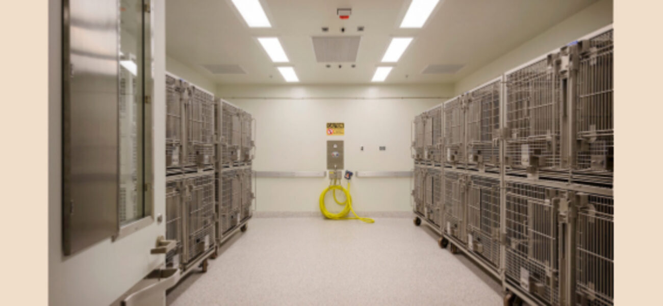 Cage rack spacing