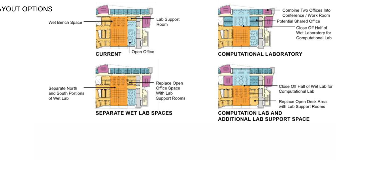 layout options