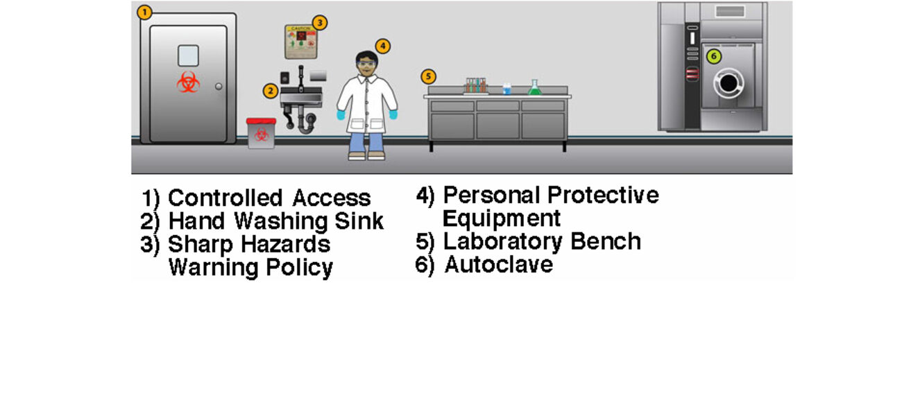 BSL-1 Safety Requirements