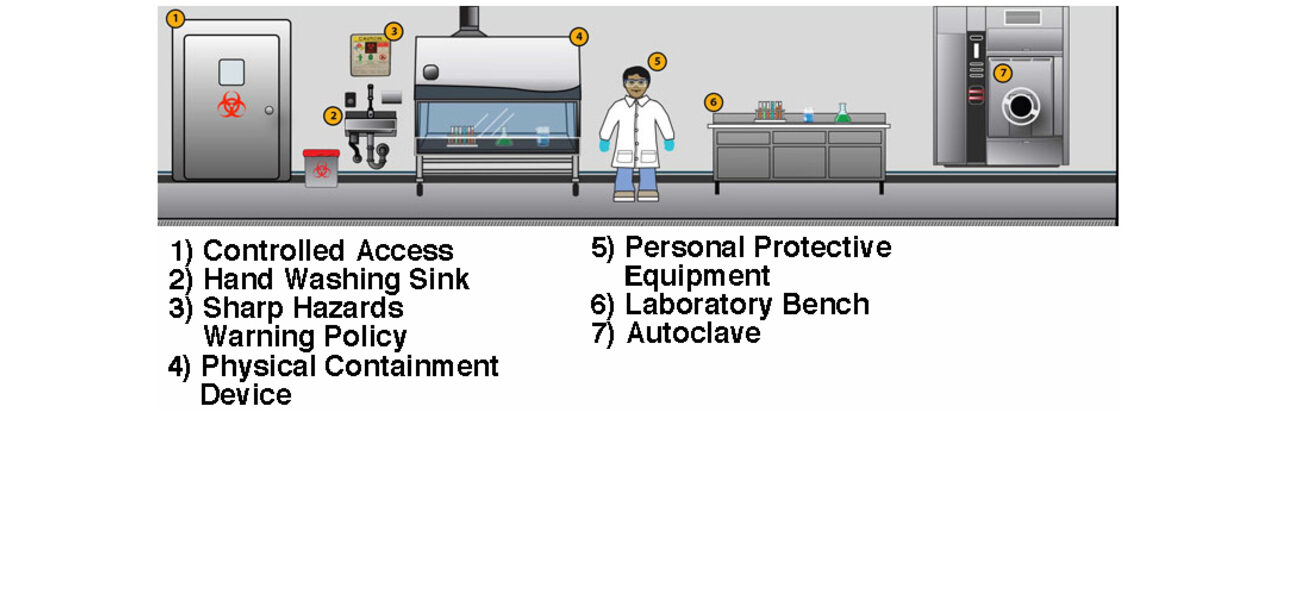 BSL-2 Safety Requirements