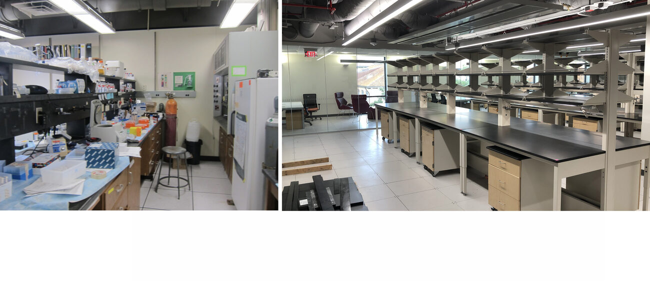 Lab Transformation