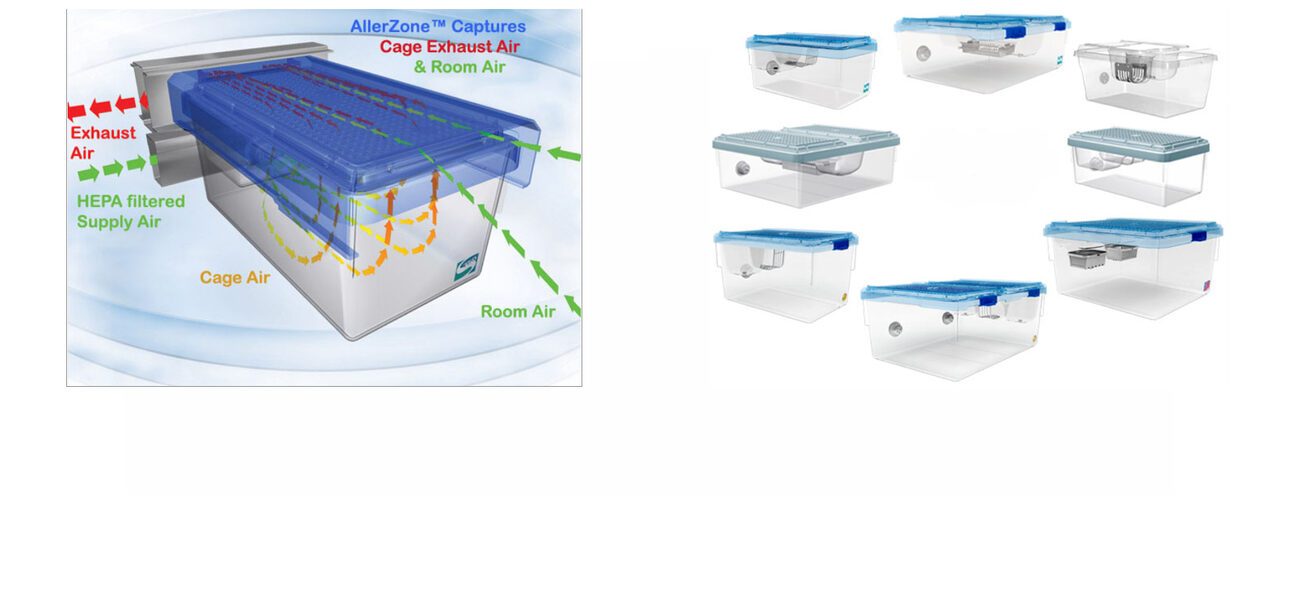 Individually Ventilated Cages