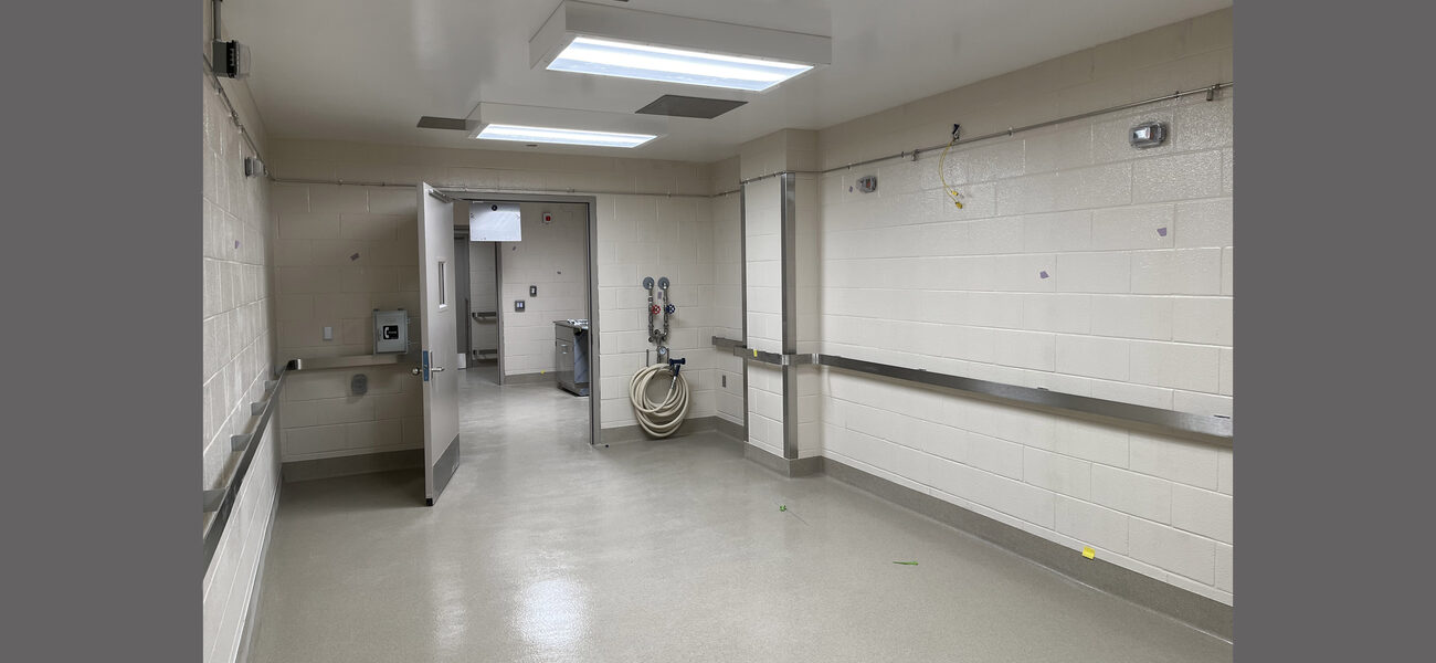 Animal Room
