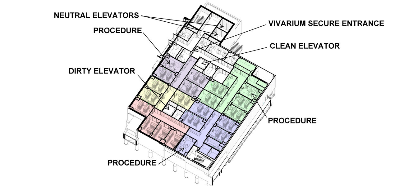 typical animal floor