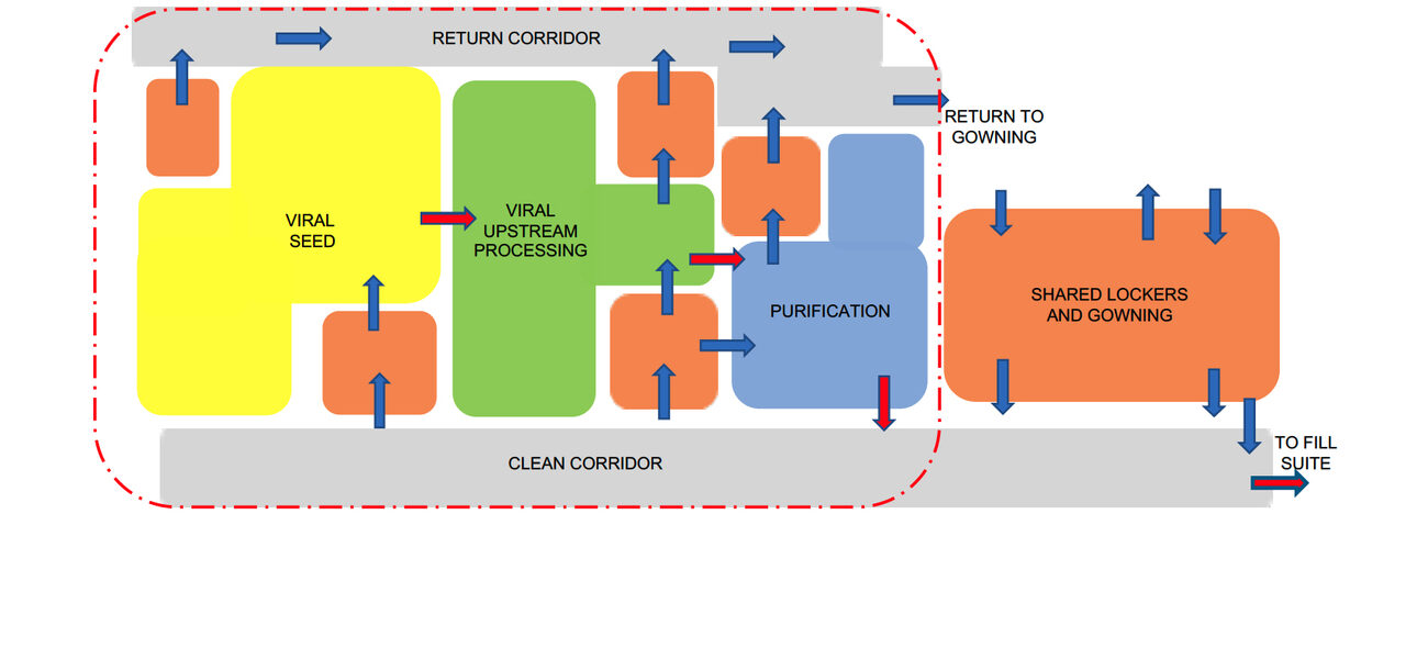 viral vector manufacturing facility 