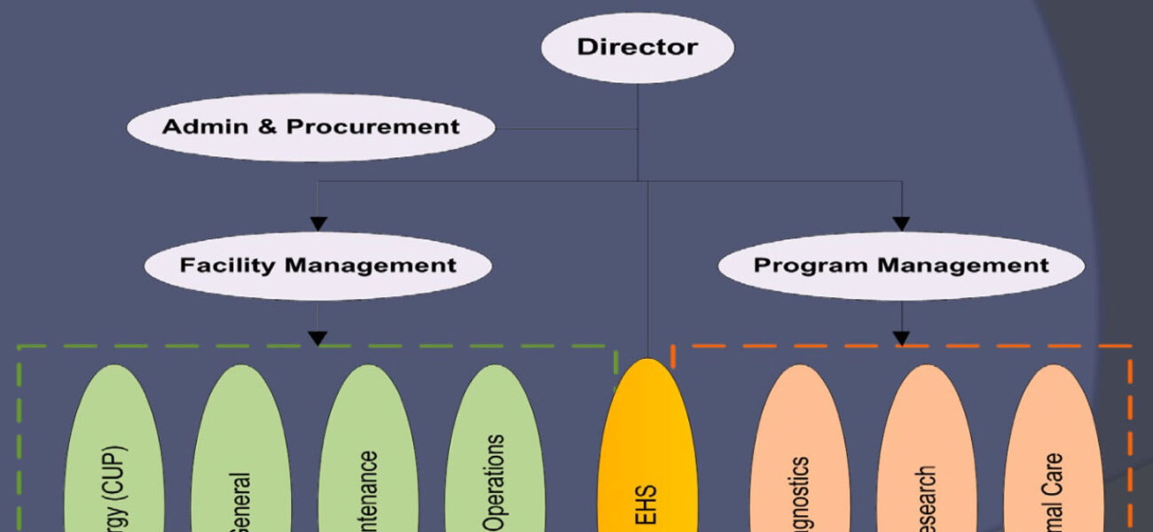 Organizational Structure