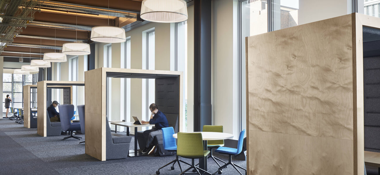 Students work alone in a row opf small alcoves