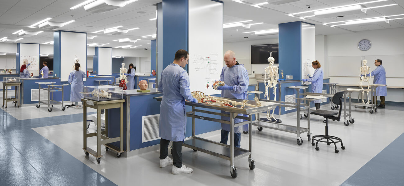 Students in long lab coats examine models of human skeletons and organs on lab tables
