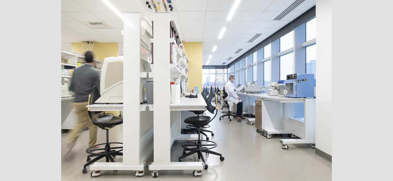 A scientist sits at a lab bench in front of a wall of windows