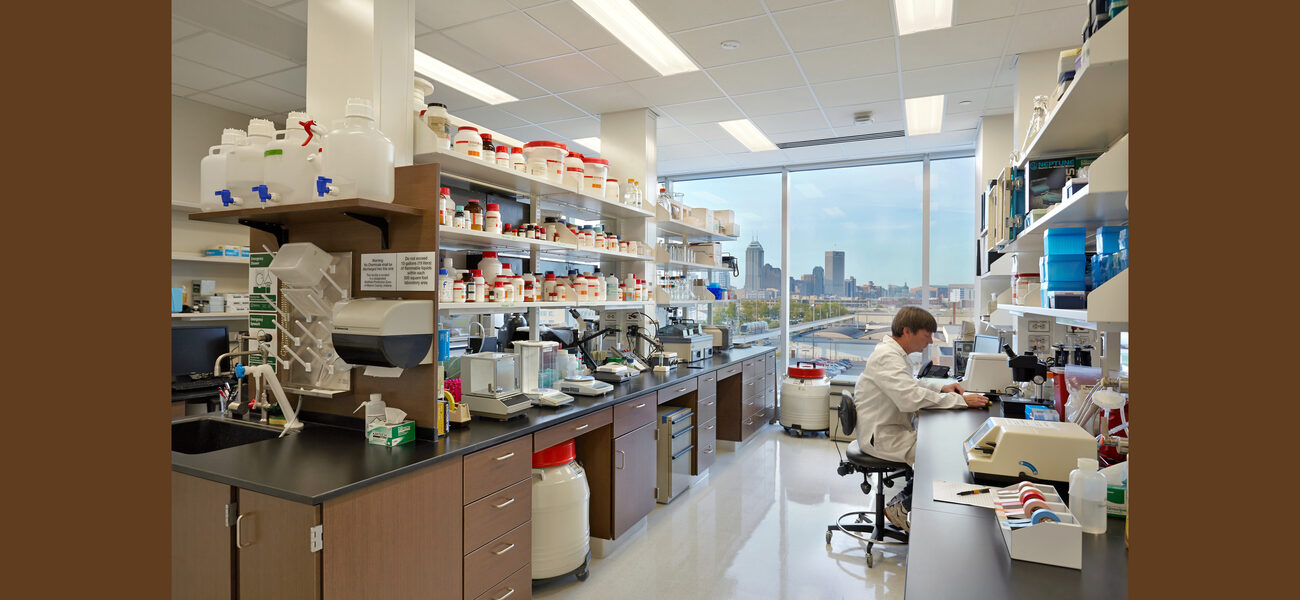 A scientist works at a lab bench next to a large window.
