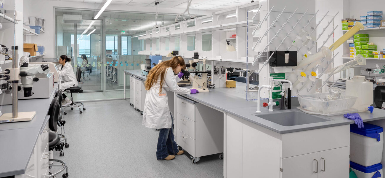 A woman works at a stainless steel lab bench