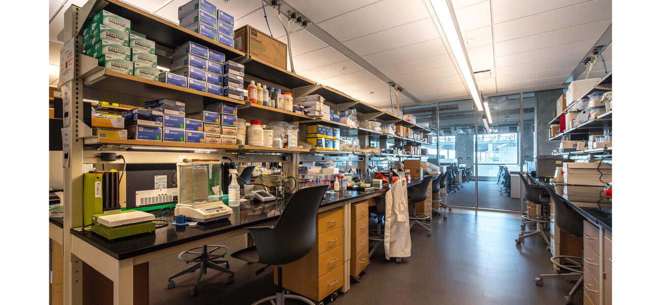 A row of lab benches covered in equipment.