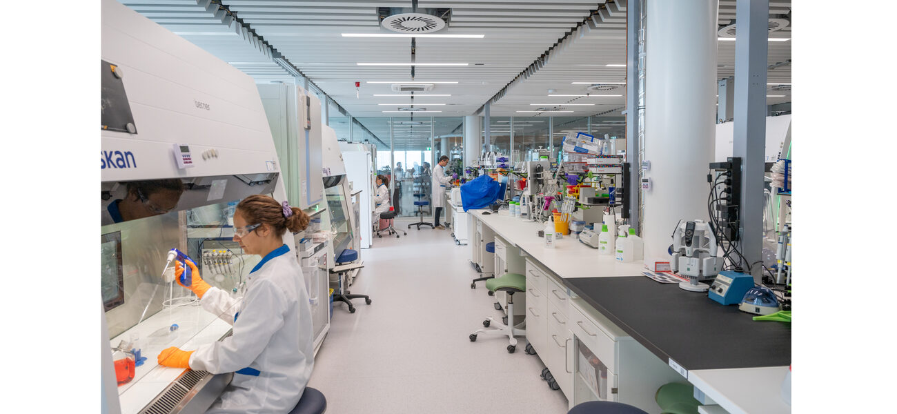People work at lab equipment in a large open lab with many benches.