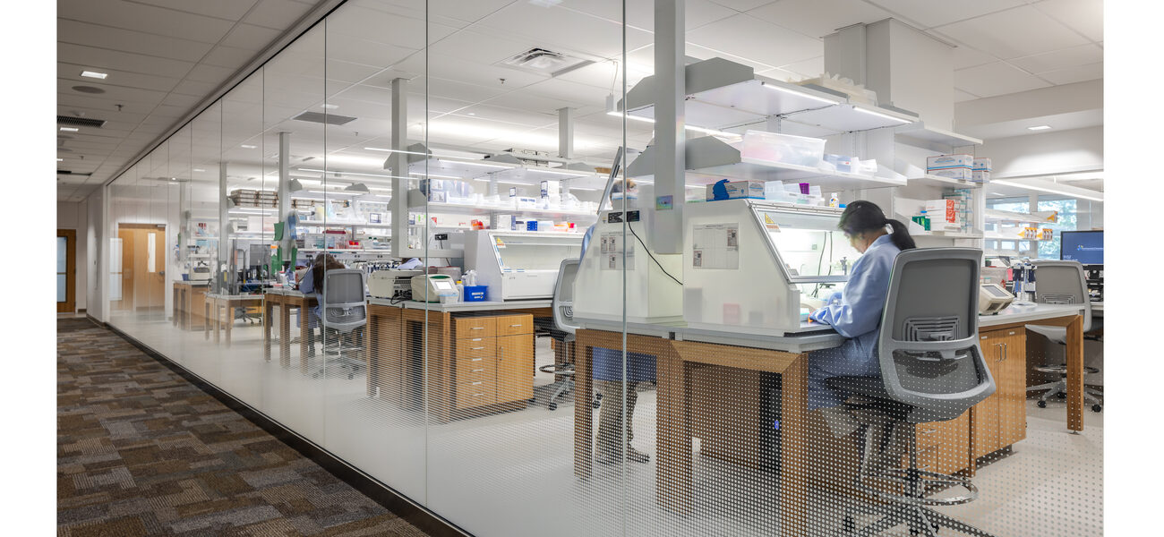 A woman works under a fume hood at the edge of a long wall of glass.