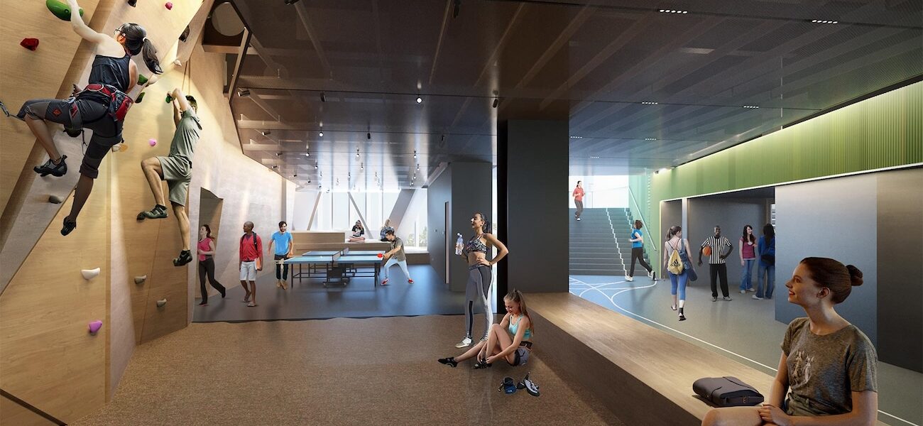 University of Auckland – Hiwa