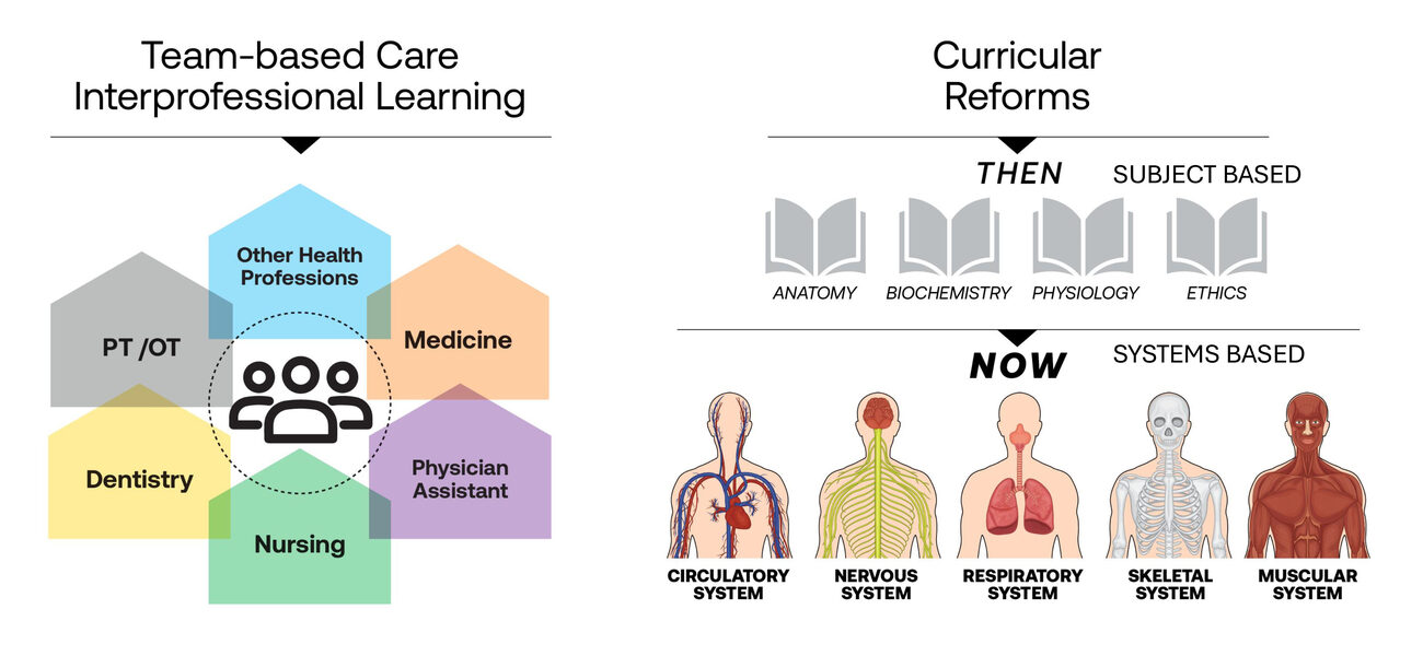 Chart listing anatomical systems