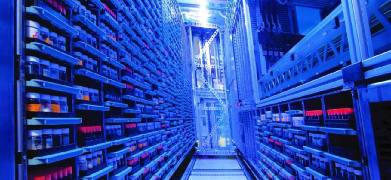 Rows of animal cages fill ceiling-high racks with a narro aisle btween them.