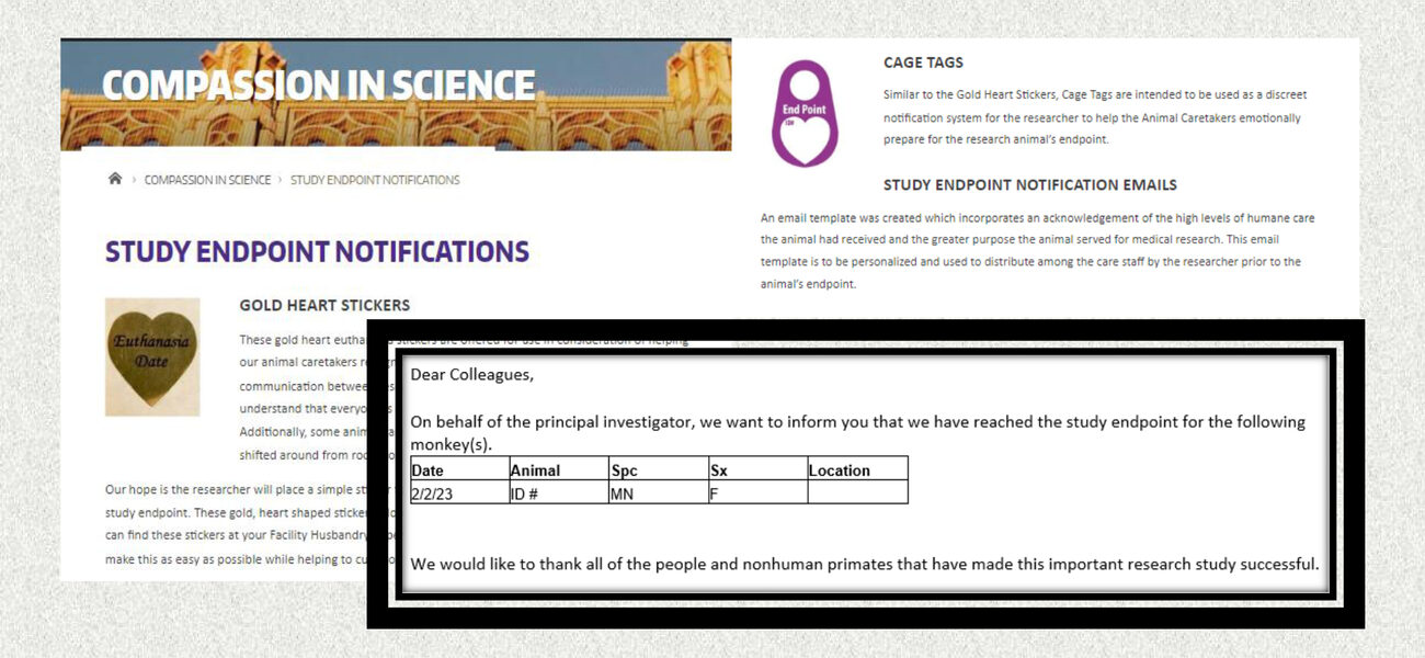 Tag shpwiong when an animal's last day will be