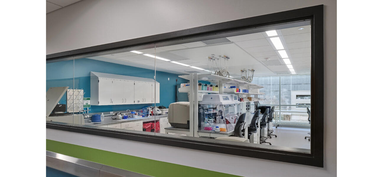 A long window looking into a lab