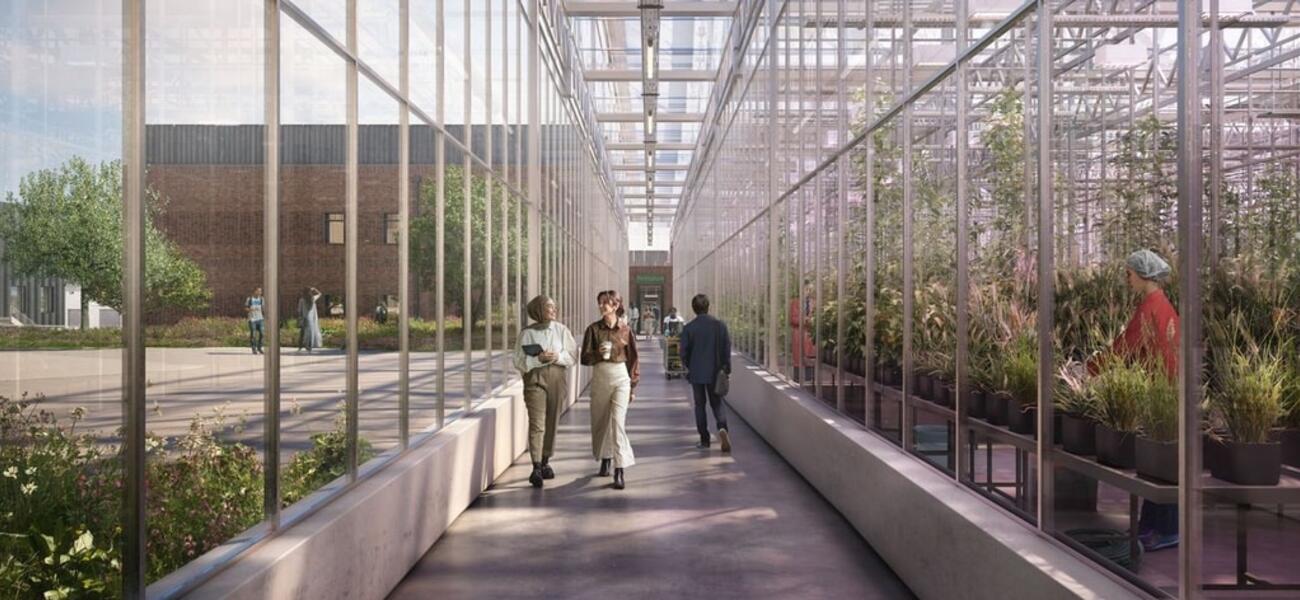 John Innes Centre & The Sainsbury Laboratory - Horticultural Greenhouse 