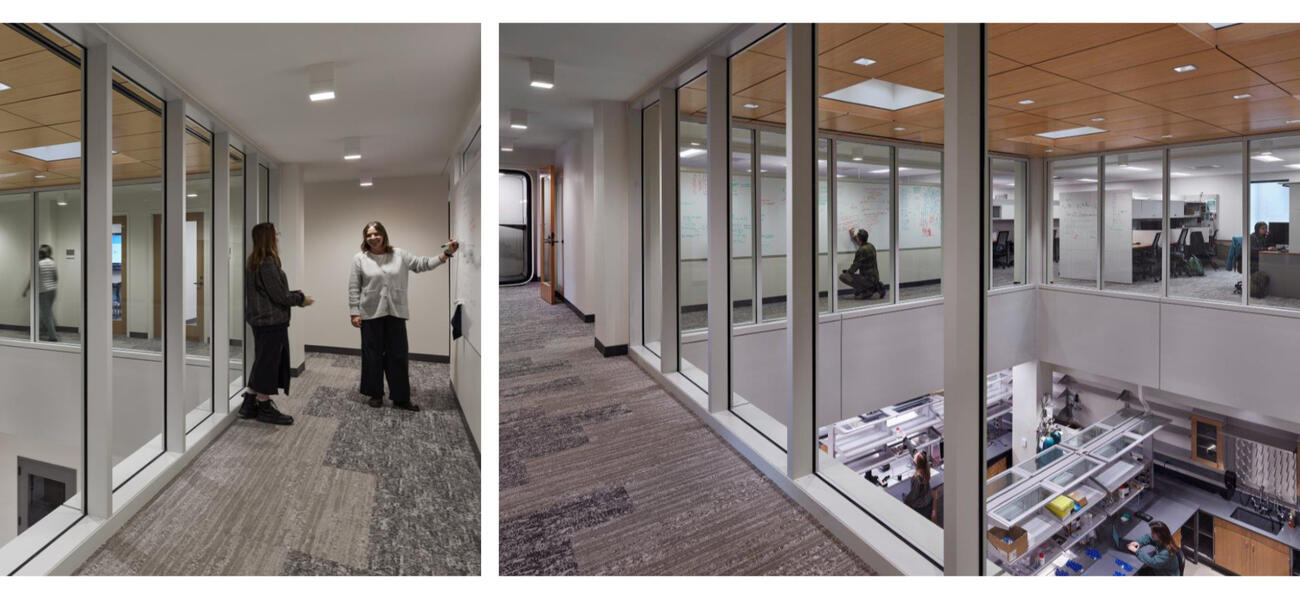 In one phoptograph, a woman writes on a wall while another woman watches her; the other photo shows a hallway lined with glass, looking over a laboratory below.