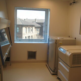 Cell Processing Room