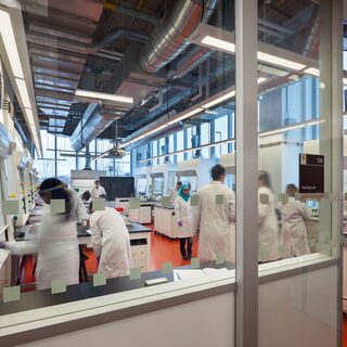 Fume Hood-Intensive Teaching Lab