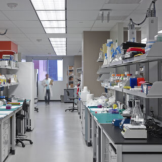 Neurosciences Research Laboratory