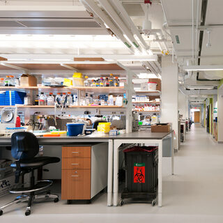 Lab with Chilled Beams