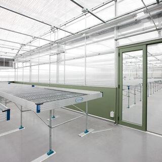 Glasshouse and Rolling Benches