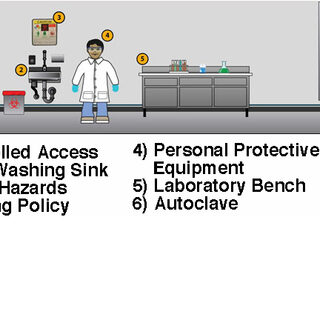 BSL-1 Safety Requirements
