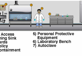 BSL-2 Safety Requirements