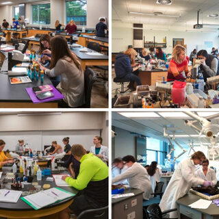 Photos and diagrams of four different shapes of lab benches.