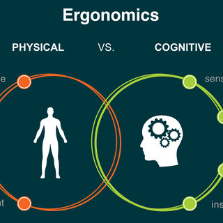 A chart shows the different ways a person's physical environment can improve their work perfomance.