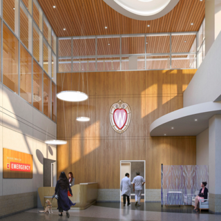 UW Madison - Veterinary Medicine Expansion