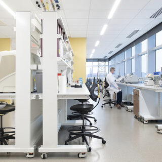 A scientist sits at a lab bench in front of a wall of windows